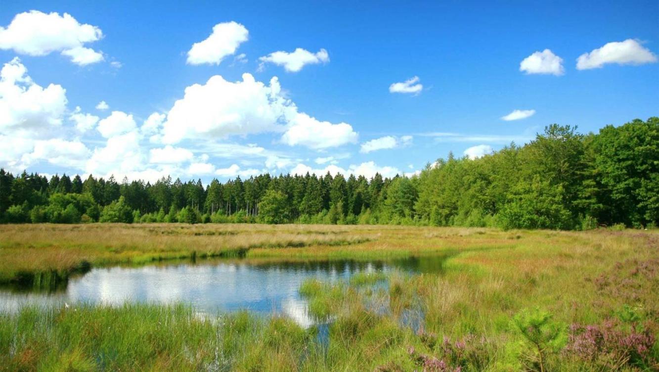 Comfortabel Chalet In Nationaal Park Wateren 외부 사진