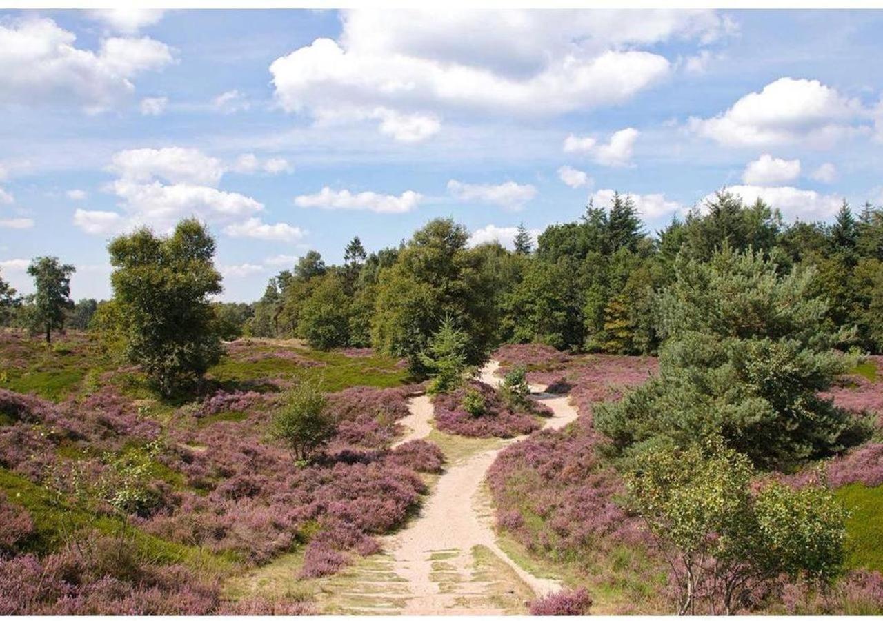 Comfortabel Chalet In Nationaal Park Wateren 외부 사진